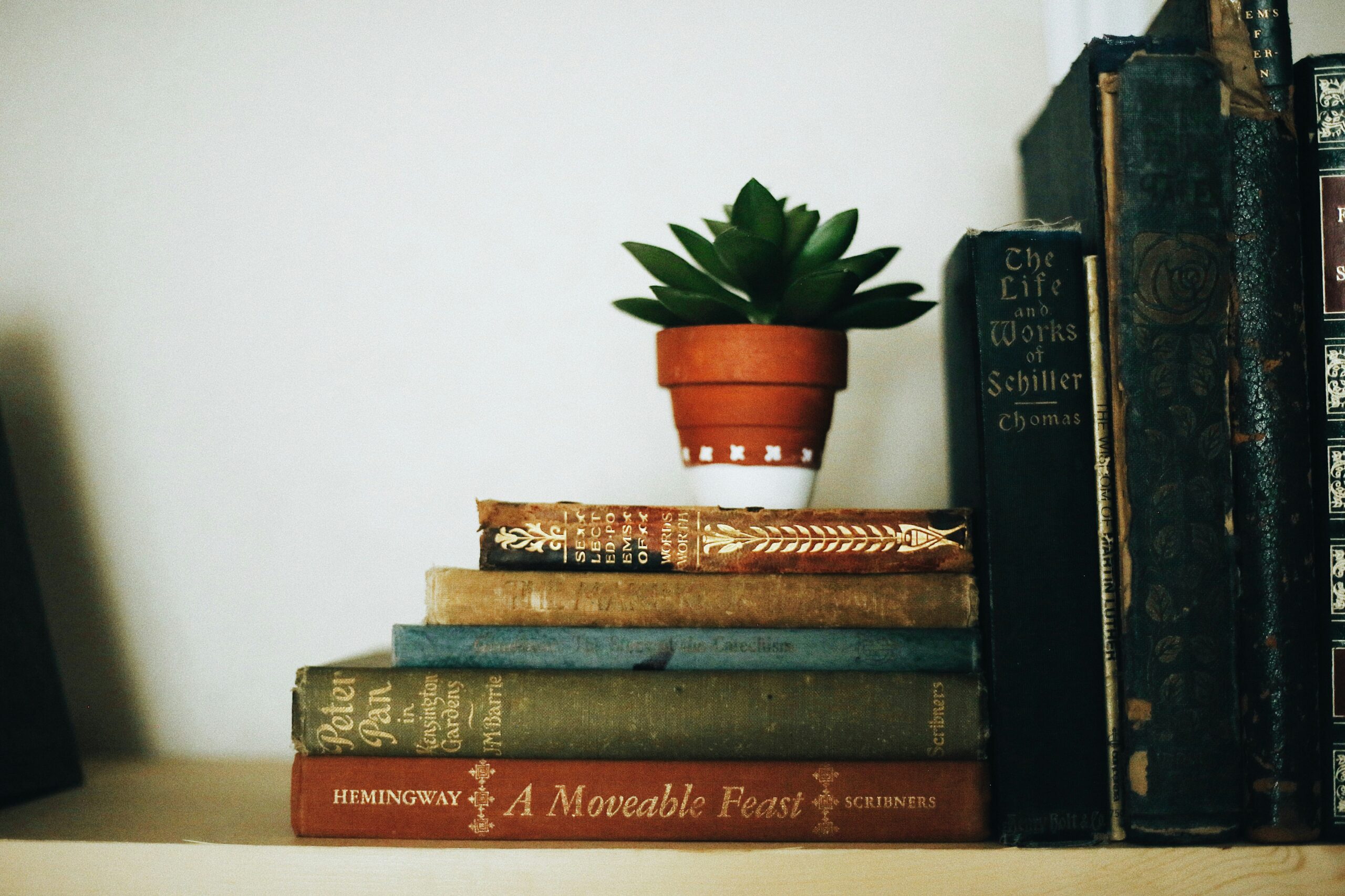 fallon-michael-9afcGtLDf3I-unsplash